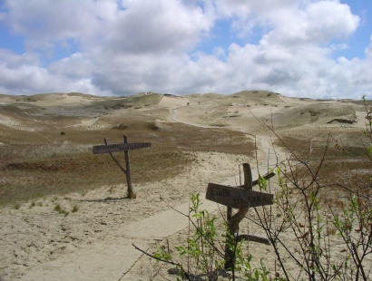 Top! Curonian Spit National Park by bike & boat, Lithuania (1 day, guided & self-guided)