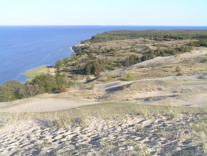 Национальный парк Куршской косы на велосипеде и корабле, Литва (1 день, сопровождаемый или самостоятельный велокруиз)